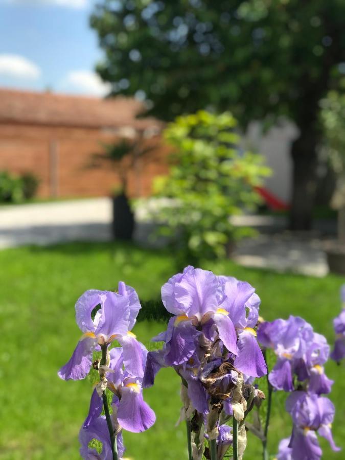 Eden Apartman Daire Algyo Dış mekan fotoğraf